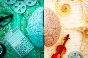 Colorful image, photo-like, depicting two contrasting sides of the brain. Left, blue-hued, with calculator and computer circuitry. The right, yellow-hued, with a violin and seashells.