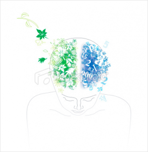 Drawing of the top of a person peering into his/her brain: right side, with green living things flowing out, and the blue left with numbers
